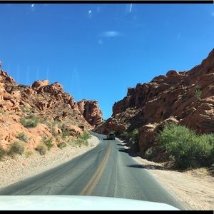 Meet your Posher, Carol